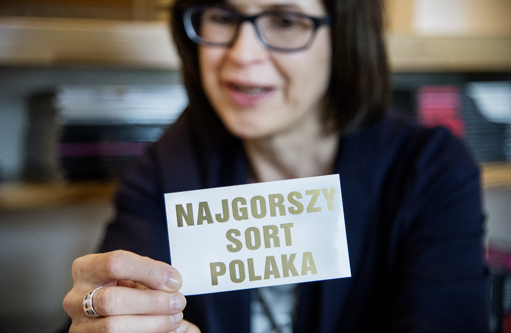 foto : all : sverigedemokraternas fnster. polen och ungern.